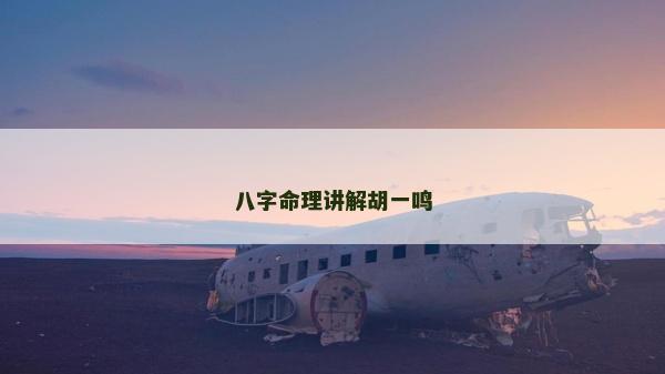八字命理講解胡一鳴 八字命理講解胡一鳴
