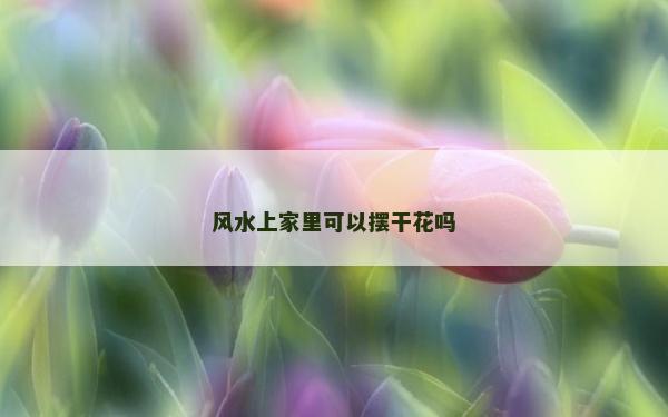 風(fēng)水上家里可以擺干花嗎 風(fēng)水上家里可以擺干花嗎