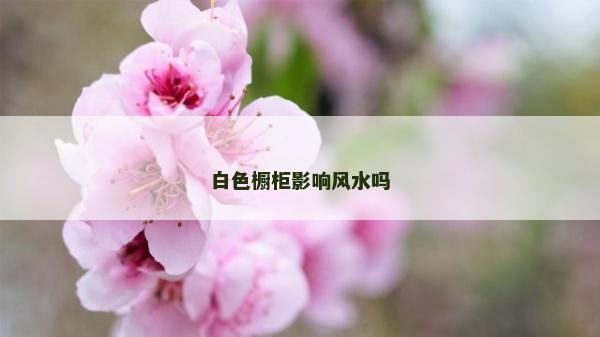 白色櫥柜影響風水嗎