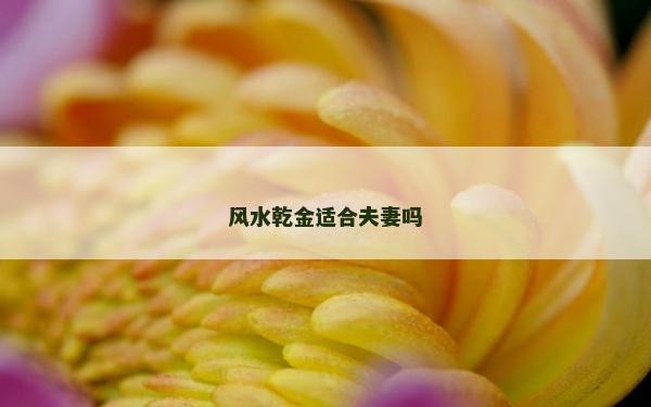 風水乾金適合夫妻嗎