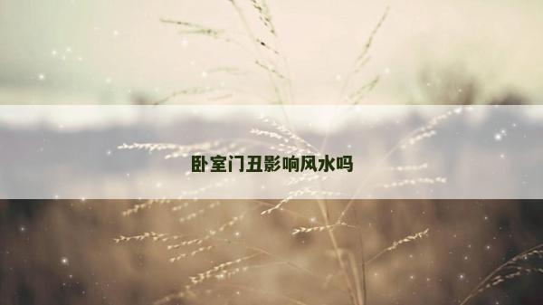 臥室門丑影響風水嗎