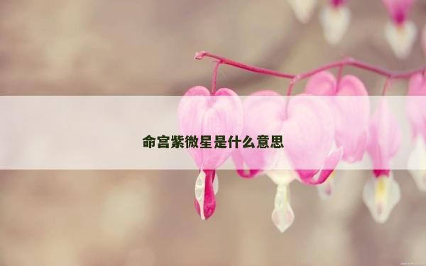 命宮紫微星是什么意思
