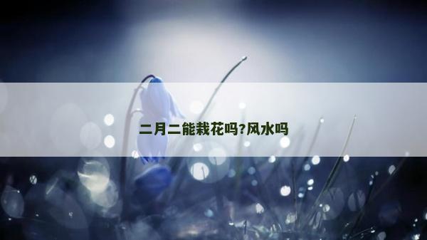 二月二能栽花嗎?風水嗎