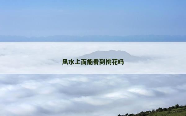 風水上面能看到桃花嗎