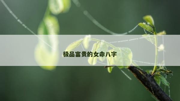 極品富貴的女命八字