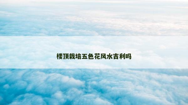 樓頂栽培五色花風(fēng)水吉利嗎
