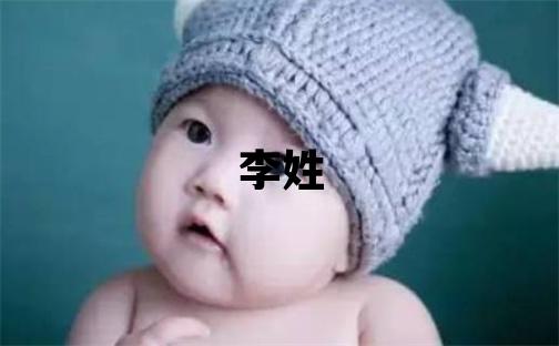 李姓取名有智慧才氣的男寶寶名字