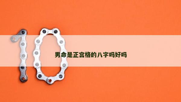 男命是正宮格的八字嗎好嗎