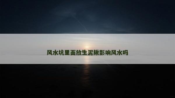 風(fēng)水坑里面放生泥鰍影響風(fēng)水嗎
