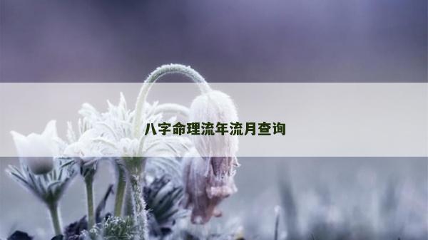 八字命理流年流月查詢