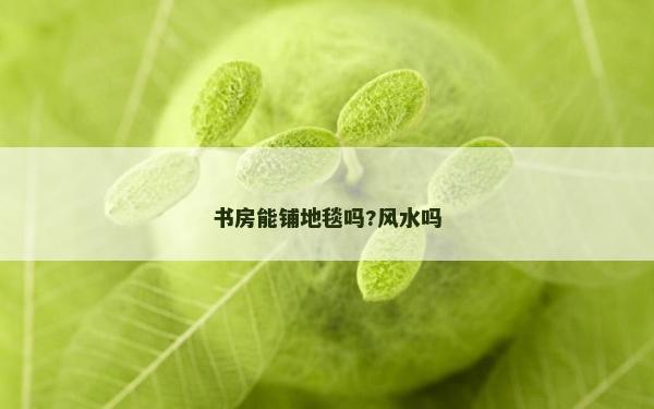 書房能鋪地毯嗎?風水嗎