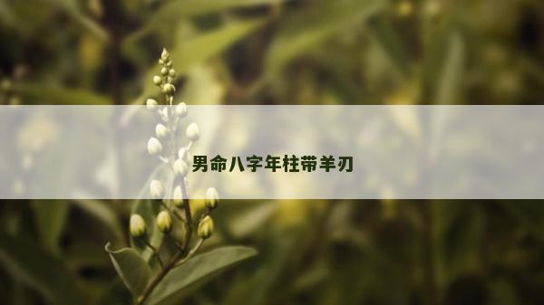 男命八字年柱帶羊刃