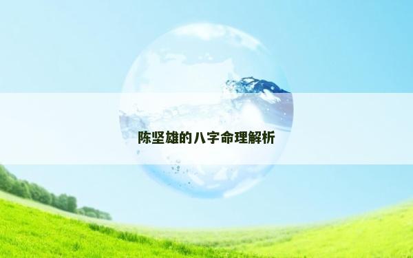 陳堅雄的八字命理解析