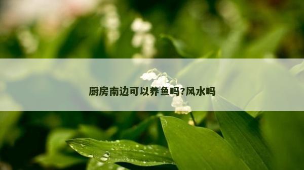 廚房南邊可以養魚嗎?風水嗎