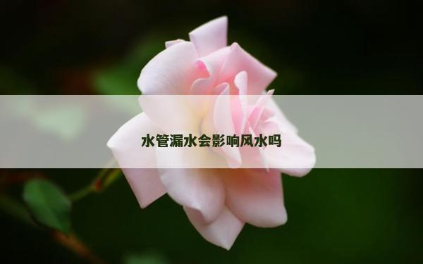 水管漏水會(huì)影響風(fēng)水嗎