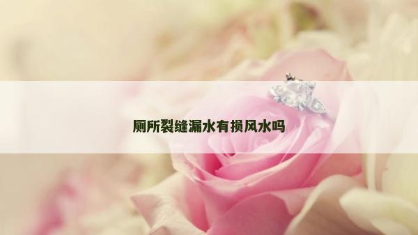 廁所裂縫漏水有損風水嗎