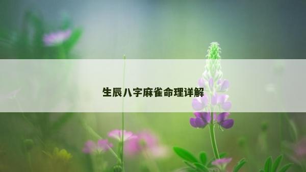 生辰八字麻雀命理詳解