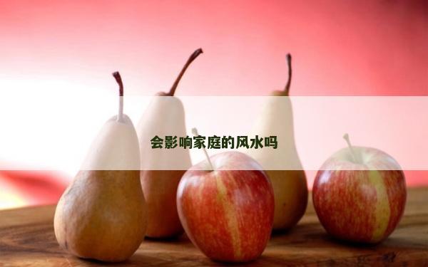 會影響家庭的風水嗎