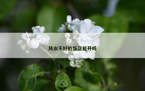 風(fēng)水不好的飯店能開(kāi)嗎