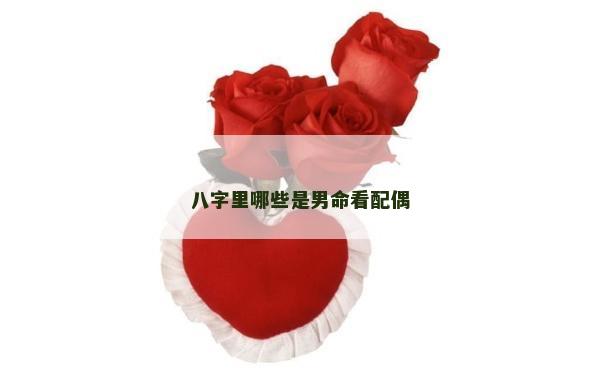 八字里哪些是男命看配偶 八字里哪些是男命看配偶