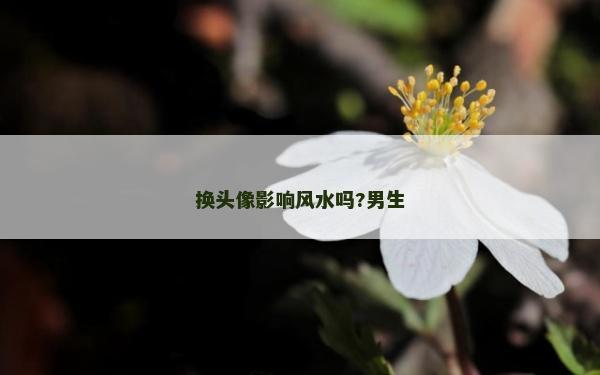 換頭像影響風(fēng)水嗎?男生
