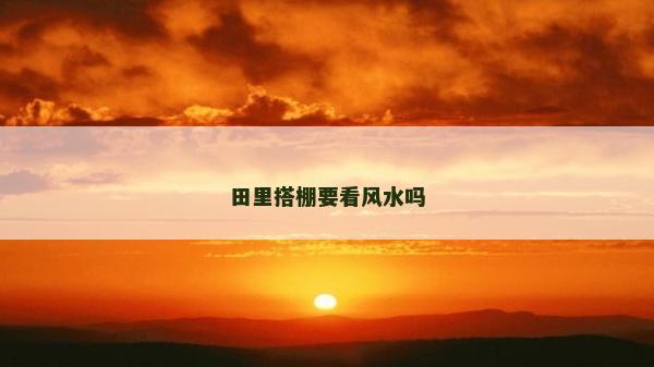 田里搭棚要看風水嗎