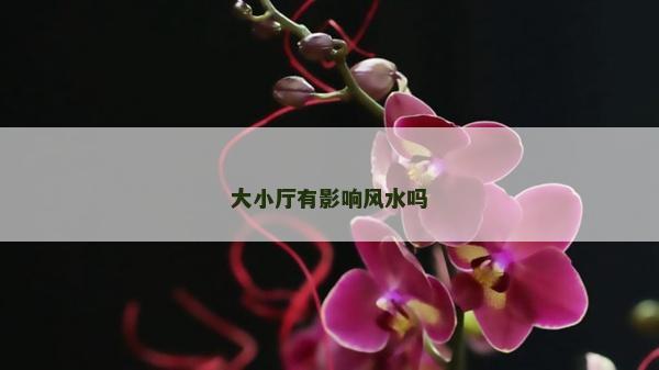 大小廳有影響風水嗎