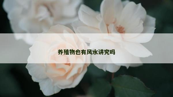 養(yǎng)殖物也有風水講究嗎
