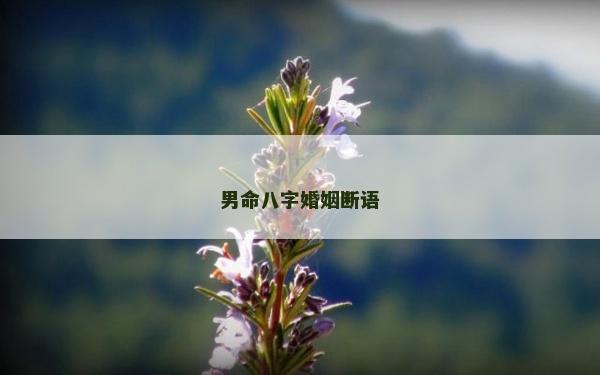 男命八字婚姻斷語