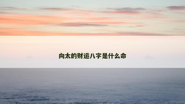向太的財運八字是什么命