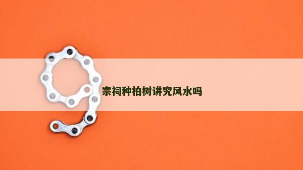 宗祠種柏樹講究風水嗎