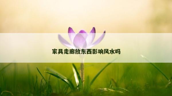 家具走廊放東西影響風水嗎