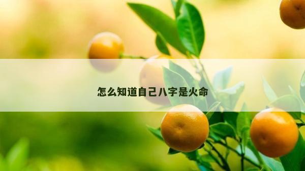 怎么知道自己八字是火命