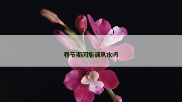 春節(jié)期間能調(diào)風(fēng)水嗎
