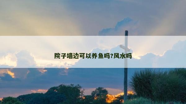 院子墻邊可以養魚嗎?風水嗎