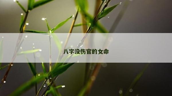 八字沒傷官的女命
