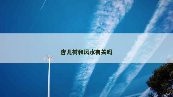 杏兒樹和風水有關嗎