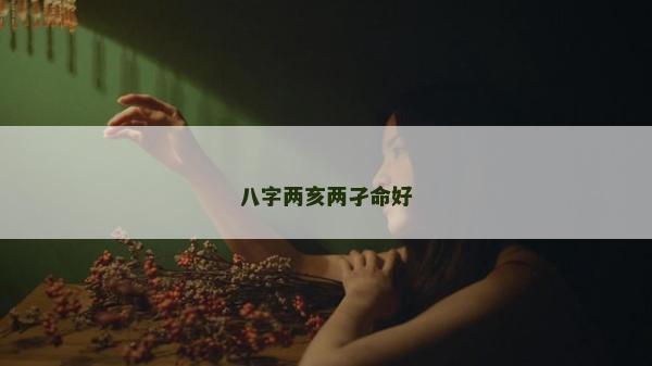 八字兩亥兩孑命好