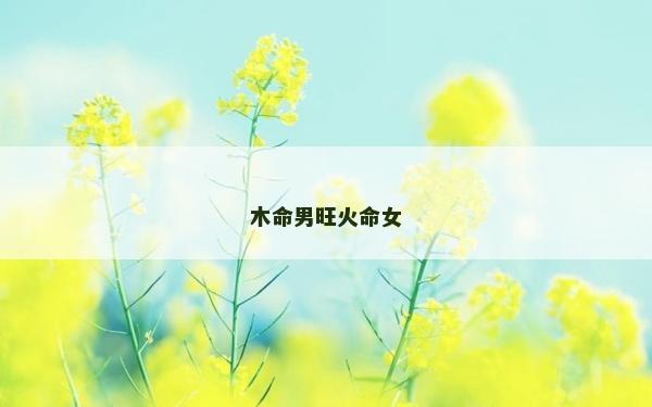 木命男旺火命女