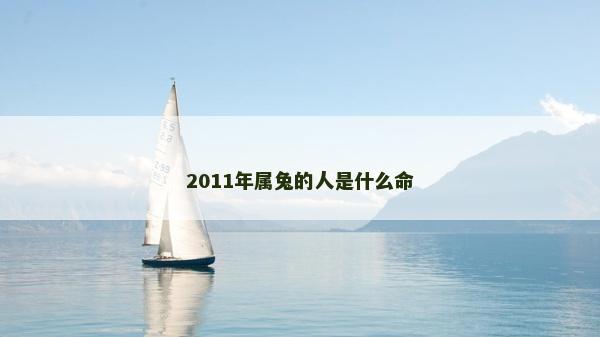 2011年屬兔的人是什么命