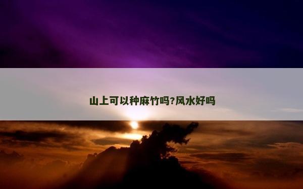 山上可以種麻竹嗎?風(fēng)水好嗎