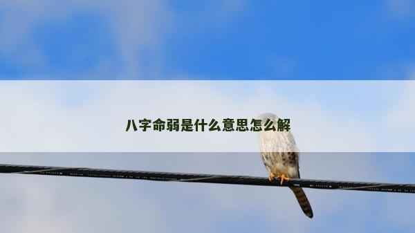 八字命弱是什么意思怎么解 八字命弱是什么意思怎么解