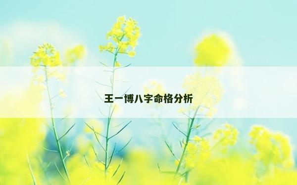 王一博八字命格分析