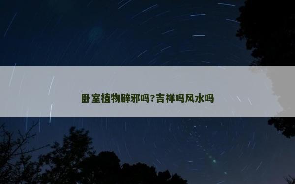 臥室植物辟邪嗎?吉祥嗎風(fēng)水嗎