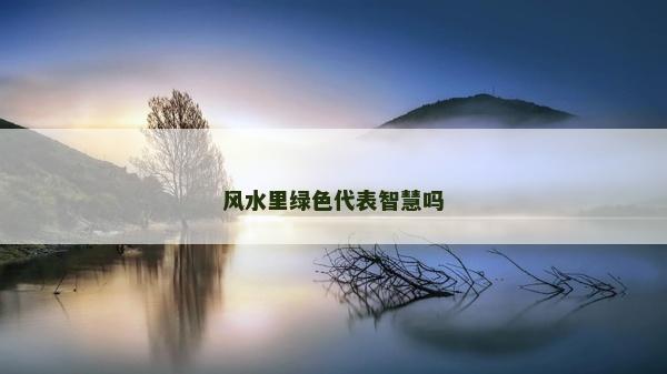 風水里綠色代表智慧嗎