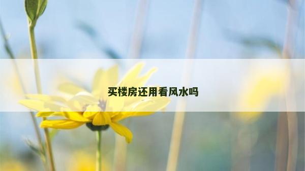 買樓房還用看風(fēng)水嗎