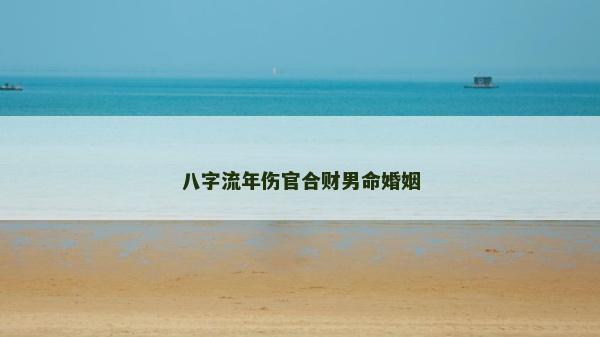 八字流年傷官合財男命婚姻