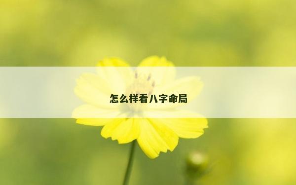 怎么樣看八字命局