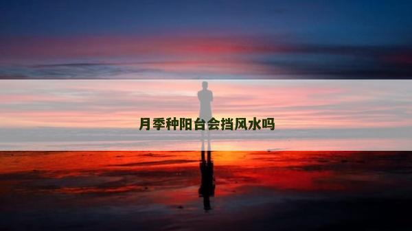 月季種陽臺會擋風水嗎