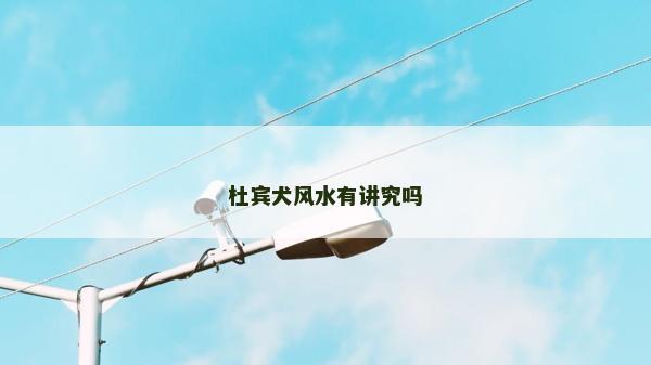 杜賓犬風水有講究嗎